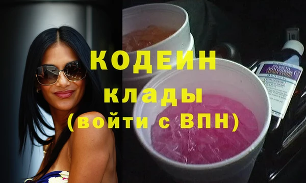 ECSTASY Бородино