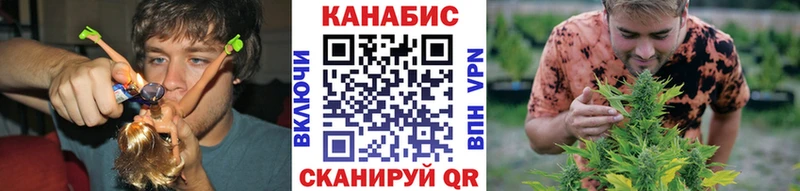 Конопля сатива  купить наркотики цена  Верхоянск 